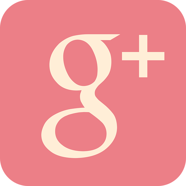 A pink google plus icon on a white background